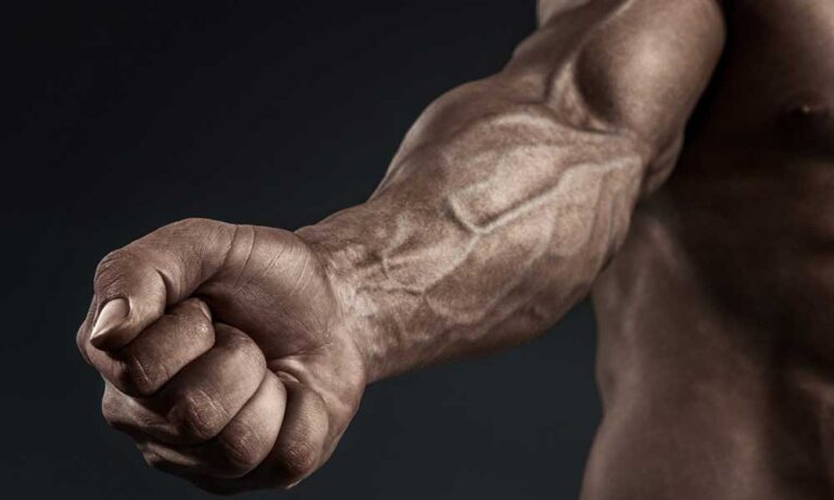 Treino para Antebraços Exercícios para Antebraços