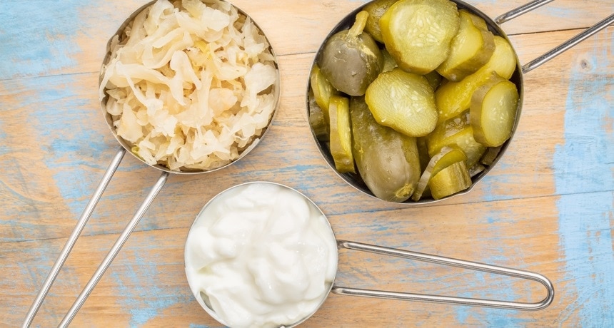 Alimentos com Probióticos