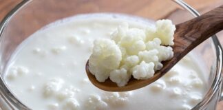 Cuidados com o Kefir de Leite como Conservar processo para Congelar e Descongelar
