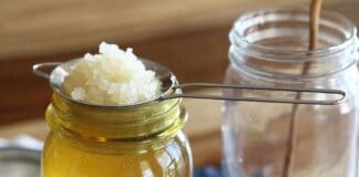 Adaptar o Kefir: é possível transformar kefir de leite em kefir de água ou de água para leite?