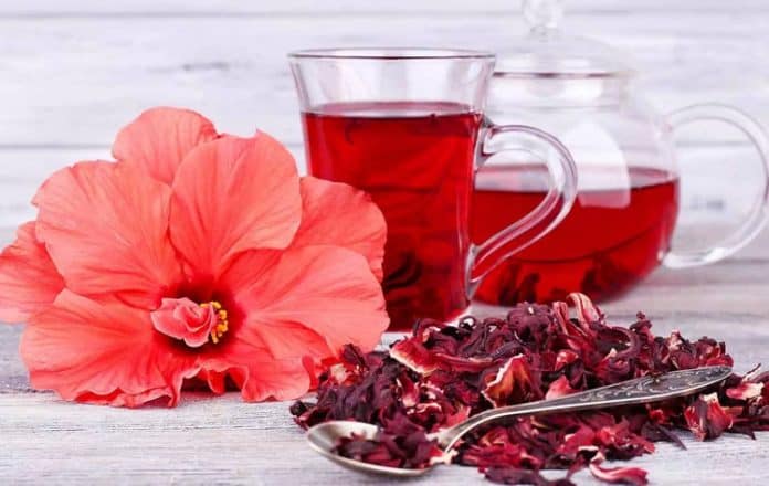 Benefícios do Chá de Hibisco Confira a com receita