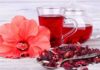 Benefícios do Hibisco para o Emagrecimento Benefícios do Chá de Hibisco Confira a com receita