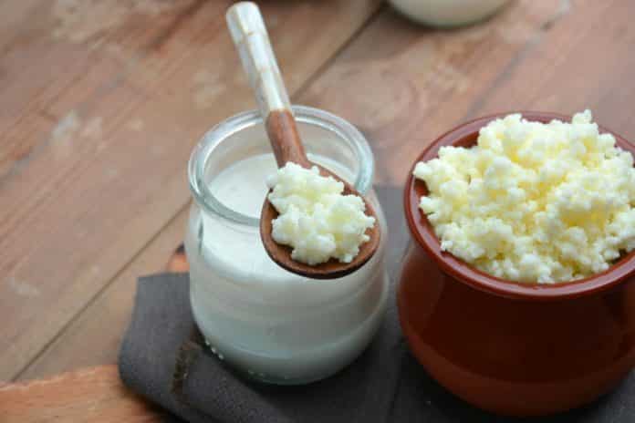 Benefícios do Kefir 10 benefícios desse Superalimento