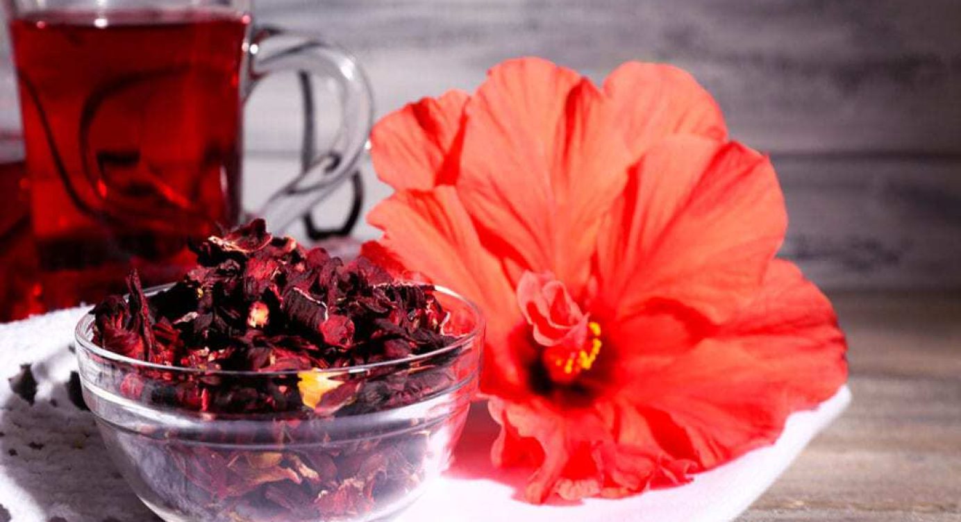 Como fazer o Chá de Hibisco para Emagrecer?