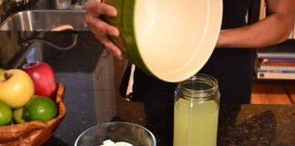 Soro do Kefir Leite Whey Protein Natural