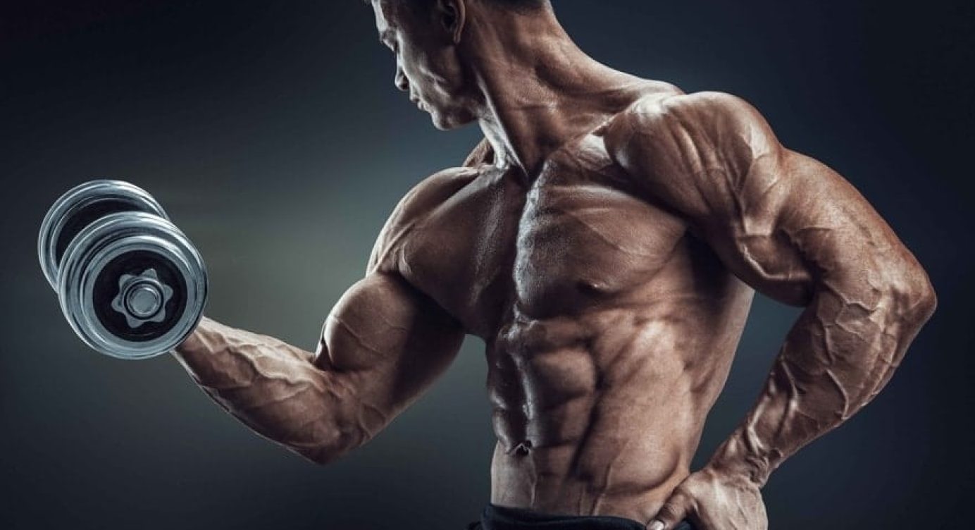 A importância da Testosterona para Definição Muscular