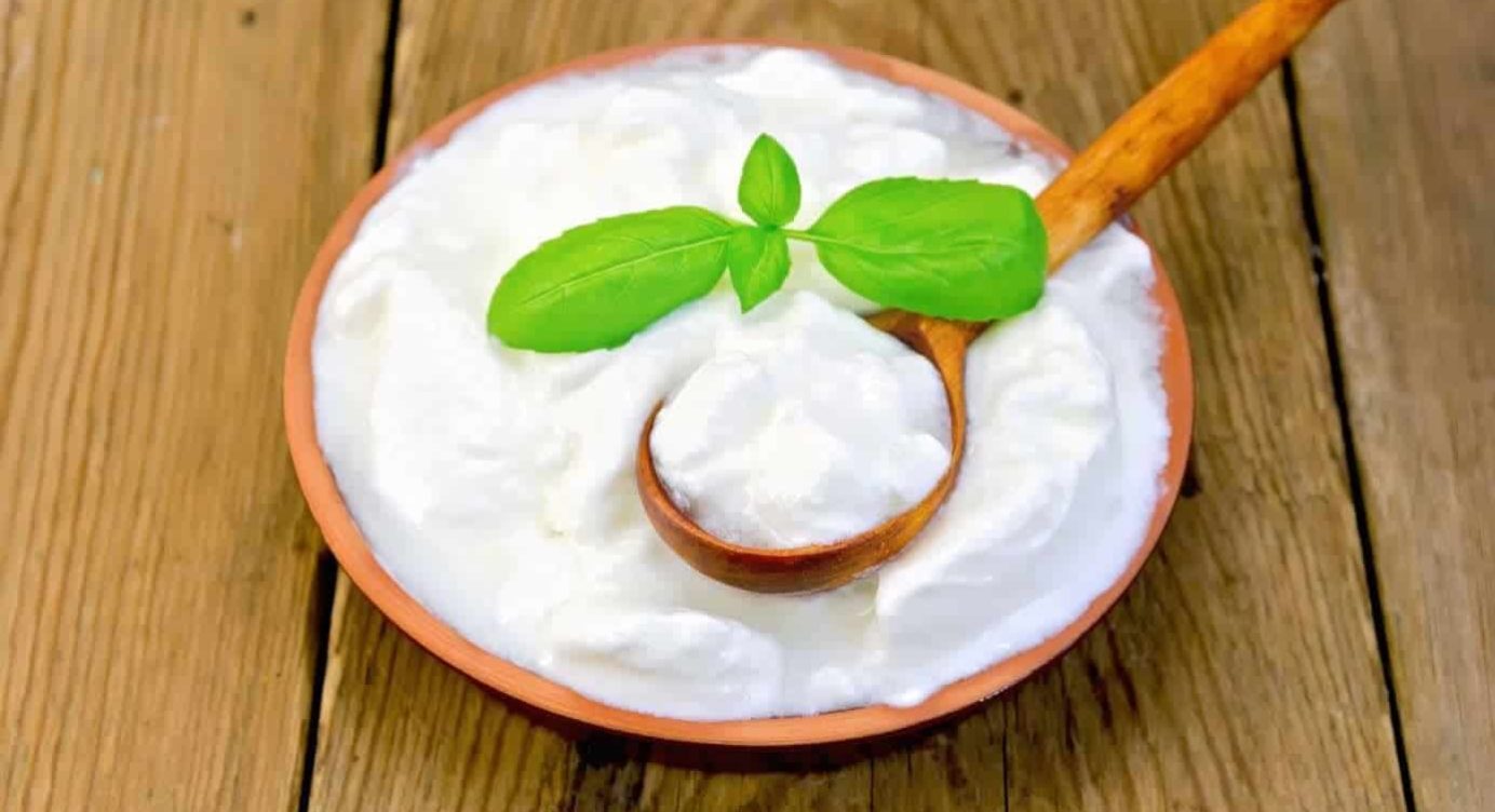 Benefícios dos Probióticos: confira lista de Alimentos Probióticos