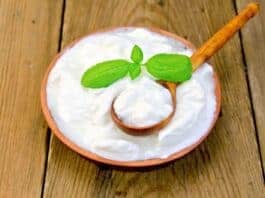 Benefícios dos Probióticos confira lista de Alimentos Probióticos