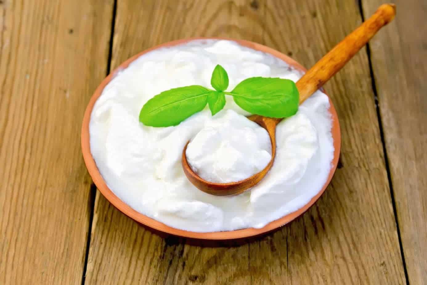 Benefícios dos Probióticos confira lista de Alimentos Probióticos