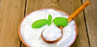 Benefícios dos Probióticos confira lista de Alimentos Probióticos