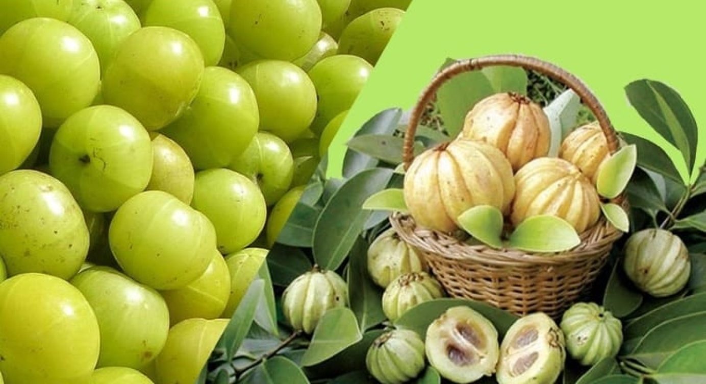 Garcinia Cambogia para Emagrecer: o que é, para que serve, benefícios e ingestão