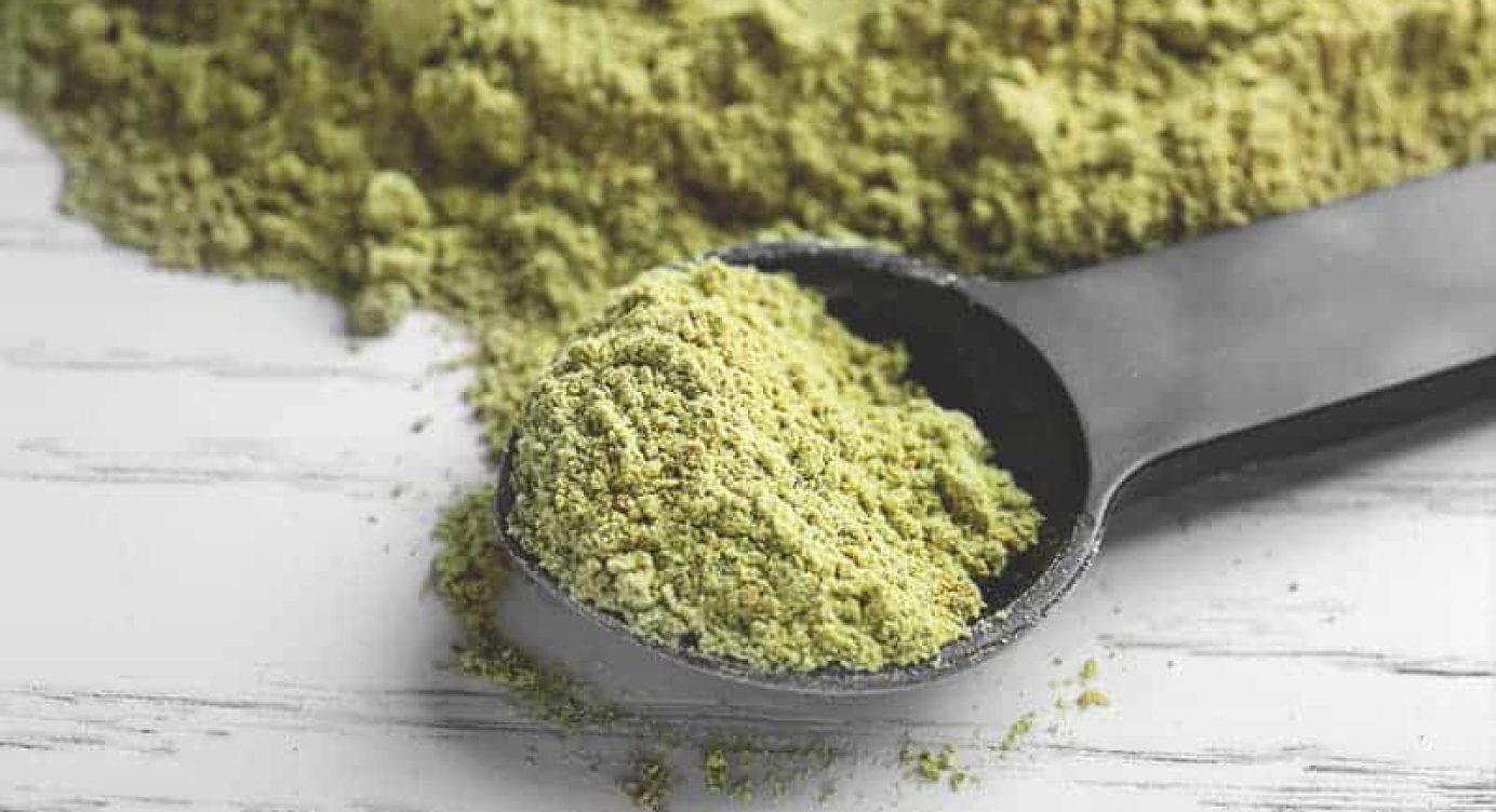 O que é a Proteína de Cânhamo, para que serve, seus benefícios, sua função e onde encontrar?