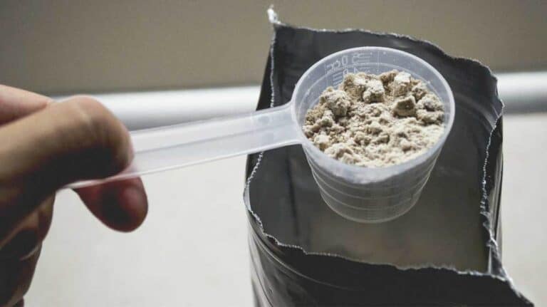 Whey Protein vegano ou Suplemento Vegano