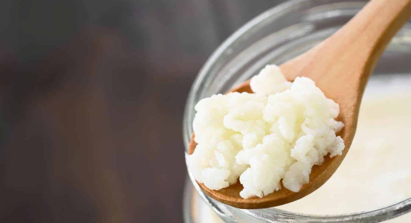 Como cuidar do kefir de leite? Cuidados para manter a saúde do seu Kefir
