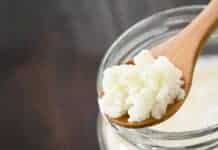 Como cuidar do kefir de leite? Cuidados para o melhor aproveitamento do Kefir