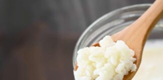 Como cuidar do kefir de leite? Cuidados para o melhor aproveitamento do Kefir