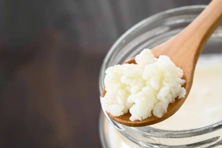 Como cuidar do kefir de leite? Cuidados para o melhor aproveitamento do Kefir