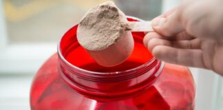 Quais as diferença entre o Whey Protein Isolado, Concentrado e Hidrolisado