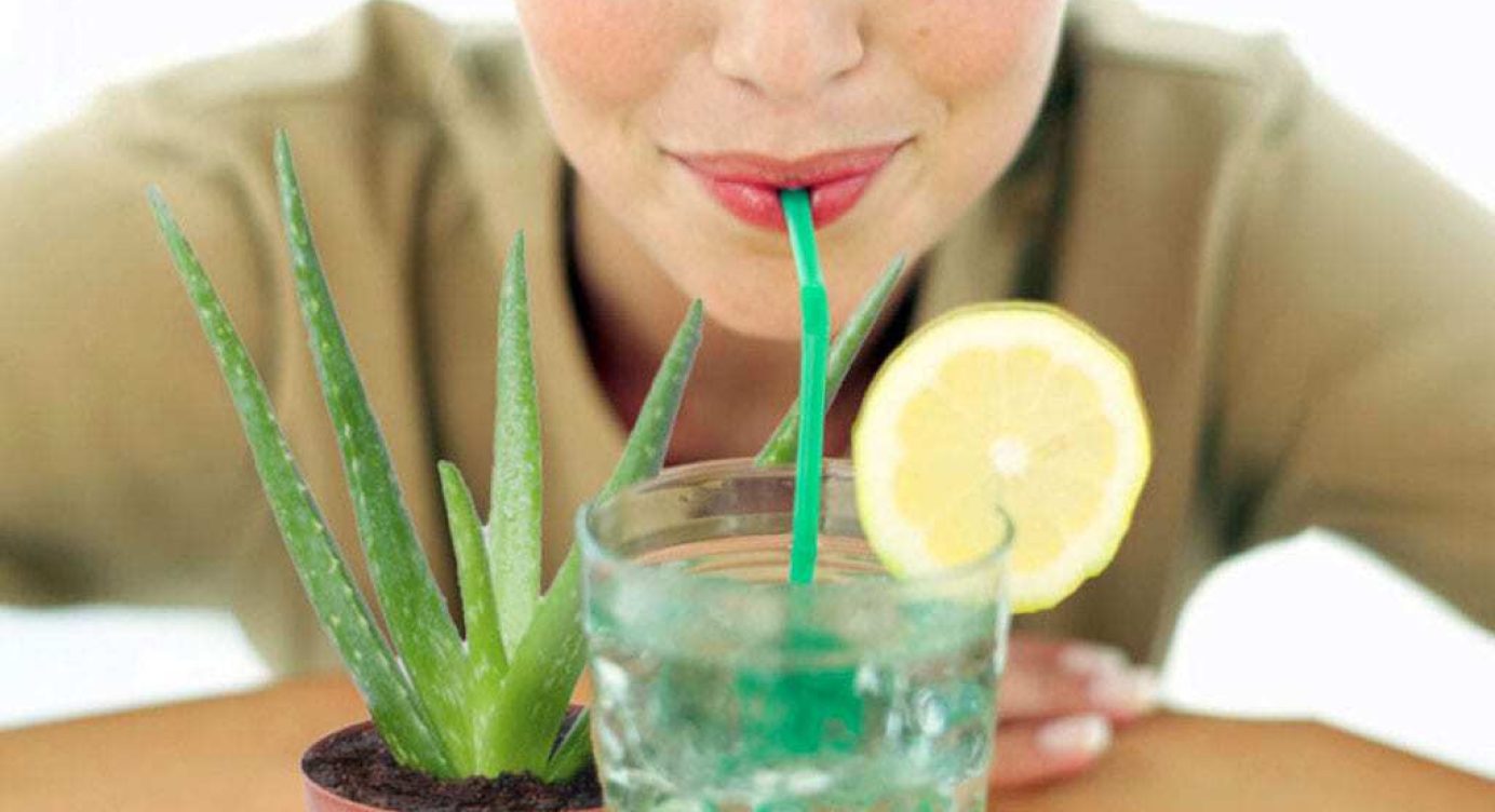 Receitas de suco Detox de Aloe Vera para Emagrecer
