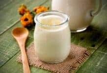 Como usar o Kefir para intensificar seus Benefícios