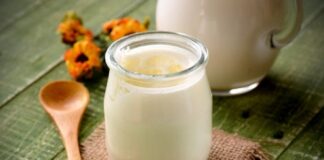 Como usar o Kefir para intensificar seus Benefícios