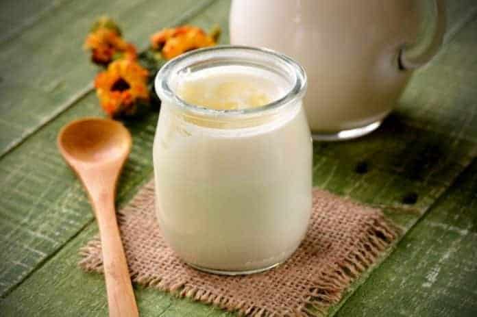 Como usar o Kefir para intensificar seus Benefícios