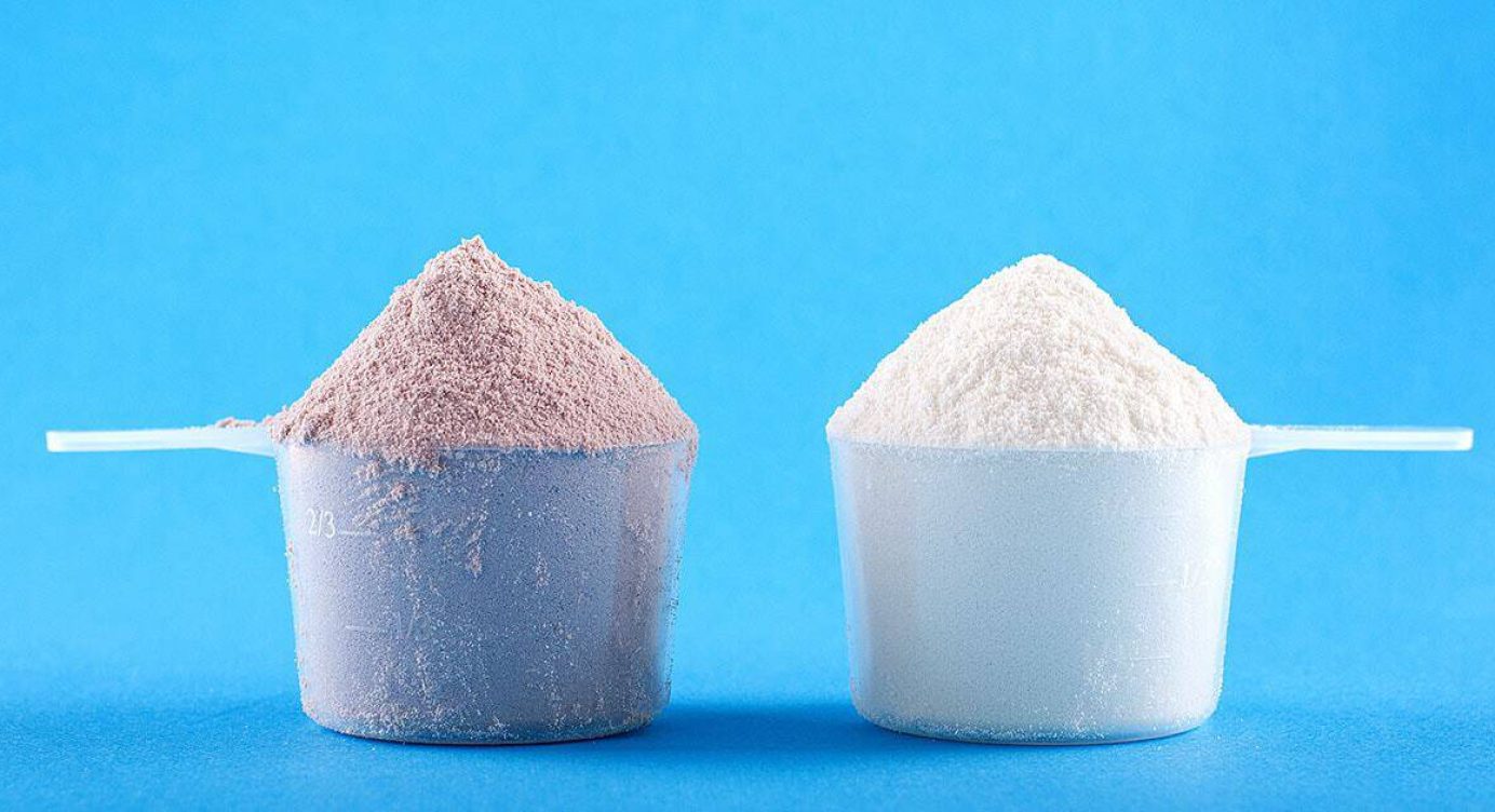 Os prós e contras entre o Whey Protein e a Proteína da Carne