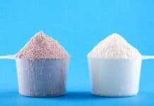 Os prós e contras entre o Whey Protein e a Proteína da Carne Os prós e contras entre o Whey Protein e a Proteína da Carne