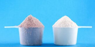 Os prós e contras entre o Whey Protein e a Proteína da Carne Duas porções de proteína em pó, uma de Whey e outra de carne, sobre fundo azul.