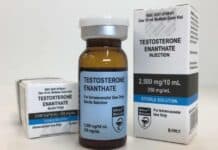 Enantato de Testosterona – Para que serve, Ciclos, Colaterais e Ingestão Frasco de Enantato de Testosterona com embalagem de farmácia.