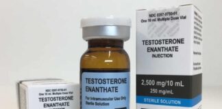 Enantato de Testosterona – Para que serve, Ciclos, Colaterais e Ingestão Frasco de Enantato de Testosterona com embalagem de farmácia.