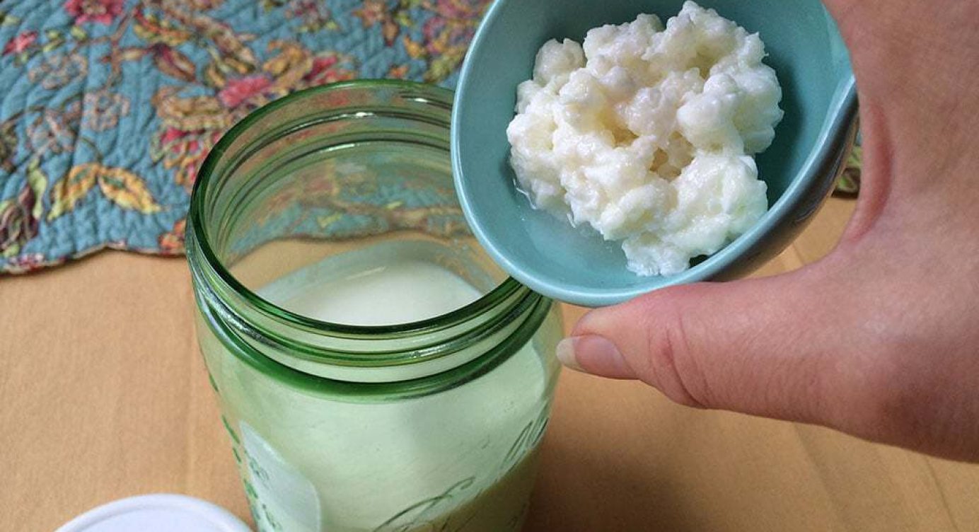 Quanto tempo o Kefir pode ficar no mesmo Leite?