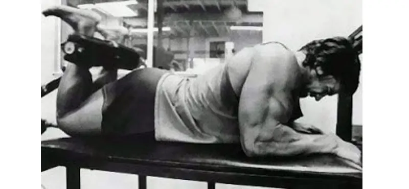 Treino de Pernas do Arnold Schwarzenegger Mesa Flexora