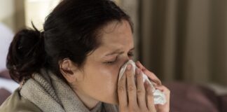 Alimentos que Aumentam a Imunidade