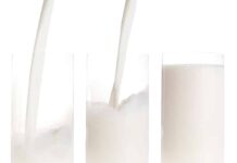 O leite corta o Efeito do Whey Protein?
