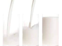 O leite corta o Efeito do Whey Protein?