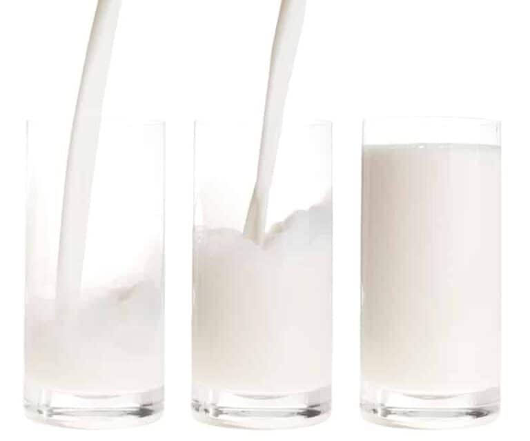 O leite corta o Efeito do Whey Protein?