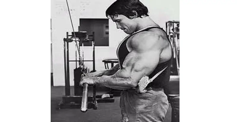 Puxada para Tríceps