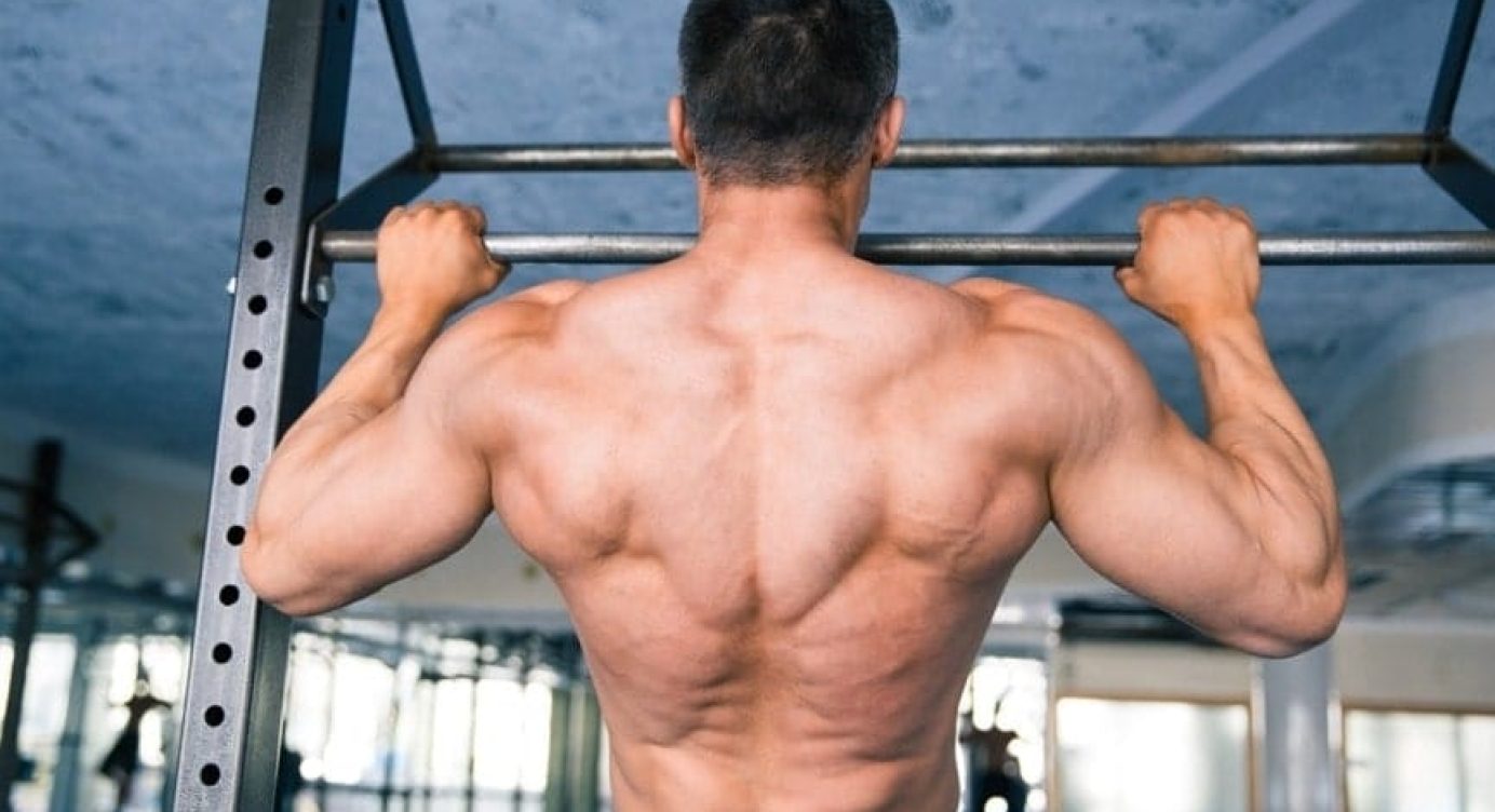 Treino Completo de COSTAS com aparelhos BÁSICOS (old school)