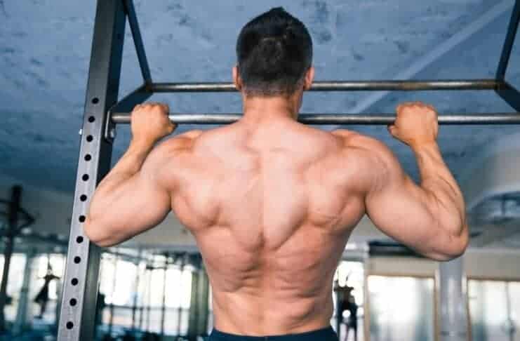 Treino Completo de COSTAS com aparelhos BÁSICOS