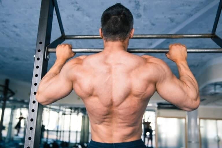 Treino Completo de COSTAS com aparelhos BÁSICOS