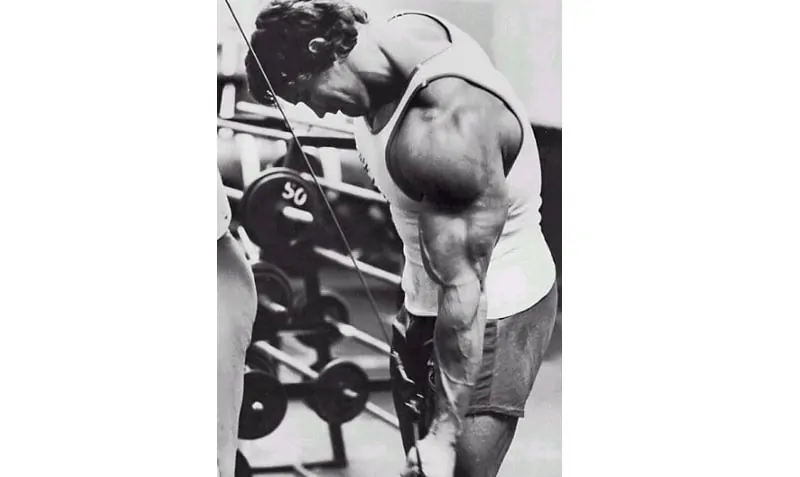 Tríceps Unilateral Invertido na Polia