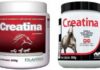 Tudo sobre o Uso da Creatina para Cavalo Uso da Creatina para Cavalo