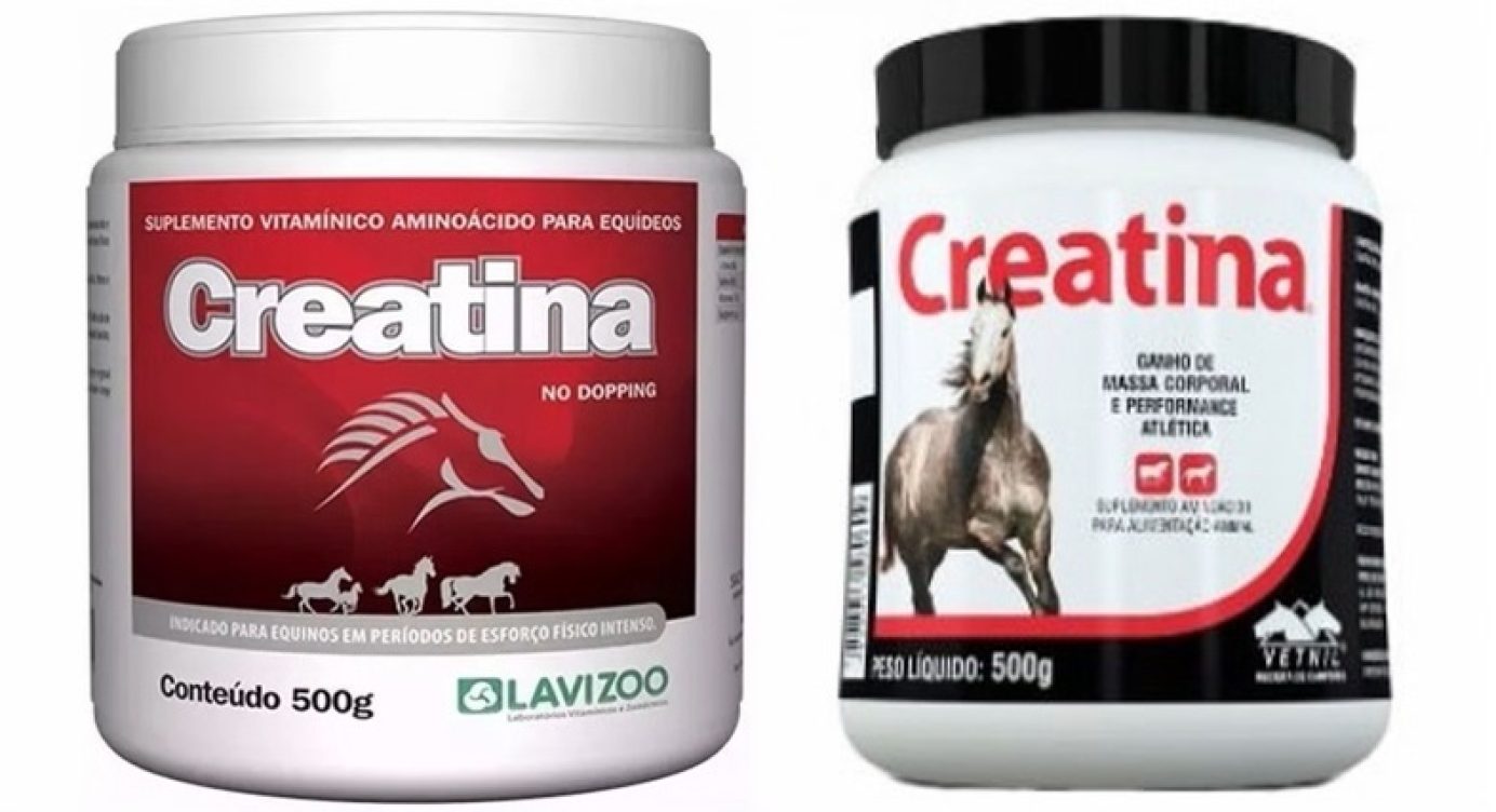 Tudo sobre o Uso da Creatina para Cavalo