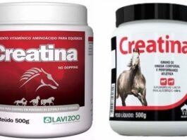 Uso da Creatina para Cavalo