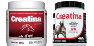 Uso da Creatina para Cavalo