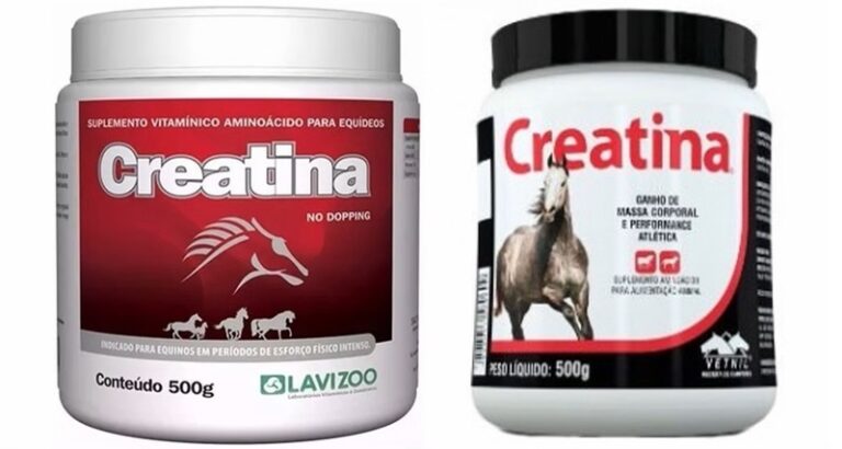 Uso da Creatina para Cavalo