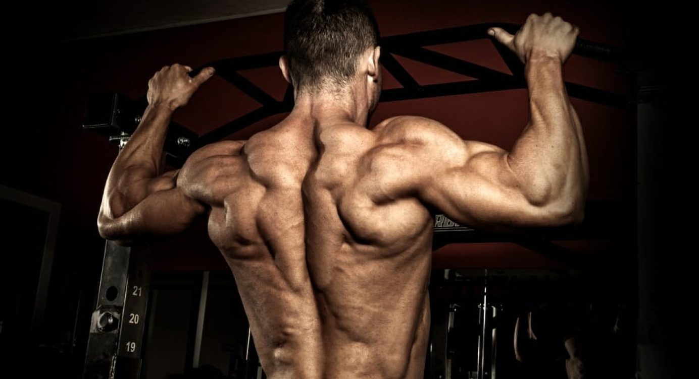 Como evitar a perda de massa muscular? Confira 10 dicas!