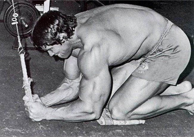 Arnold Abdominal na Polia