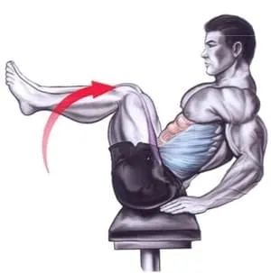 abdominal02 Abdominal02